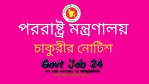 Ministry of foreign affairs administrative officer